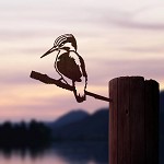 Metalbird
IJsvogeltje